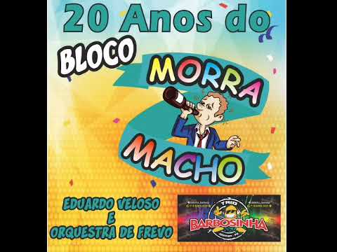 Musica do Bloco Morra Macho