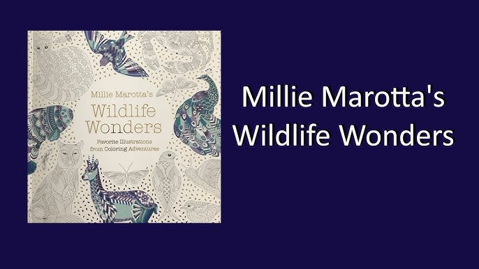 Millie Marotta's Animal Kingdom: Mini Edition - (millie Marotta