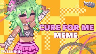 🌸🕸| Cure for Me | 🦋Tweening🦋 | Doggo |🕸🌸