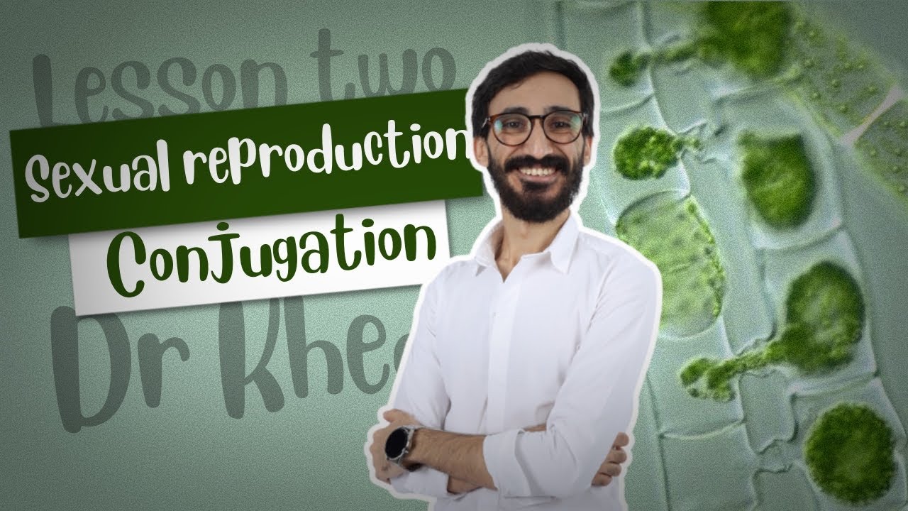 Sexual Reproduction |￼ conjugation | senior 3 Biology | chapter three lesson 2 | Dr Mustafa Khedr