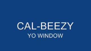 CAL-BEEZY TURT-TEEZY:YO WINDOW