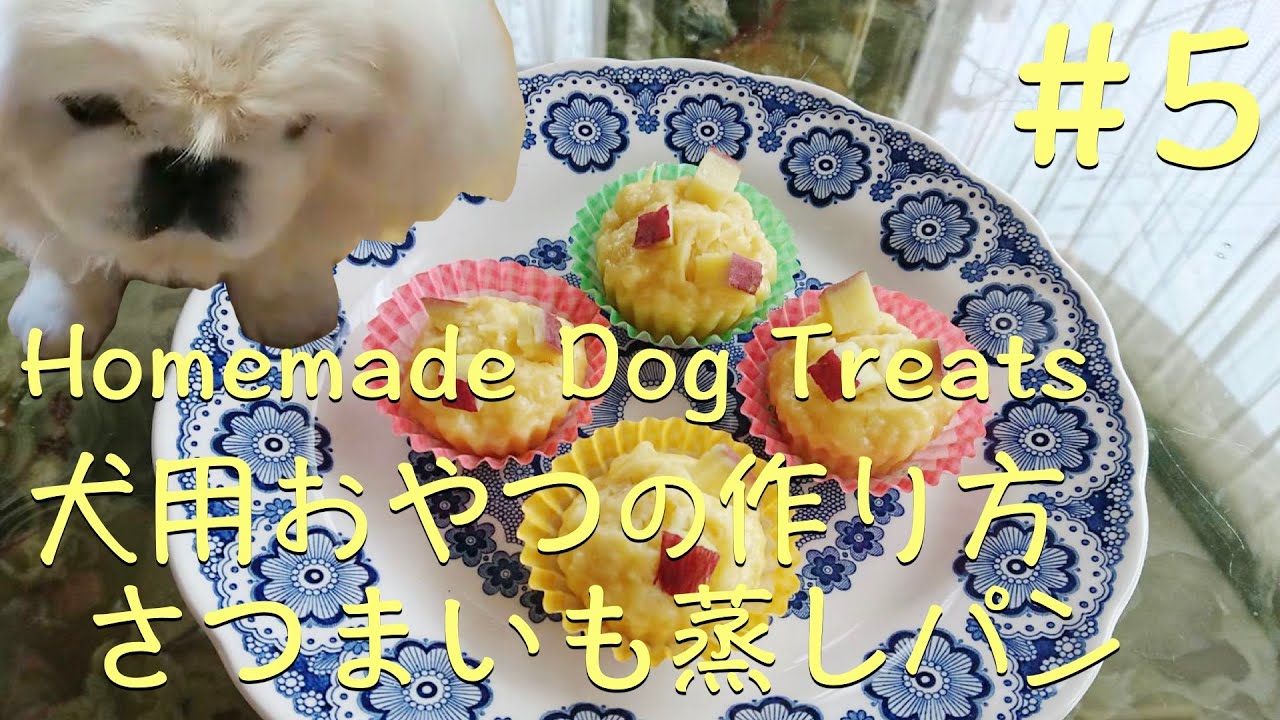 Homemade Dog Treats Recipe 5 Sweet Potato Steamed Bread Pekinese Dog From Japan Youtube