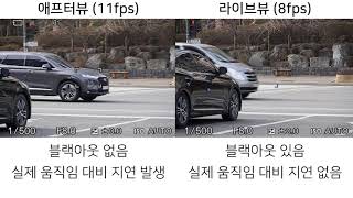 Sony A6600 11Fps Afterview 8Fps Liveview