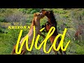 Arizona Salt River Wild Horses Roaming Free Amongst Stunning Spring Wildflowers