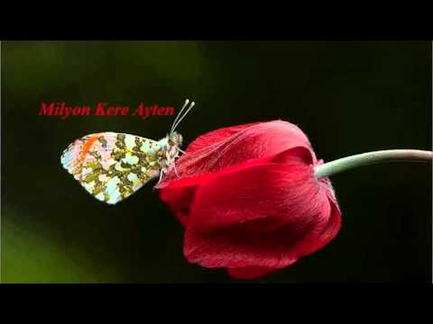 Milyon Kere Ayten - Ümit Yaşar Oğuzcan (Şiirli Dakikalar)