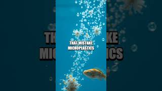 Tracing The Invisible Currents Of Microplastics