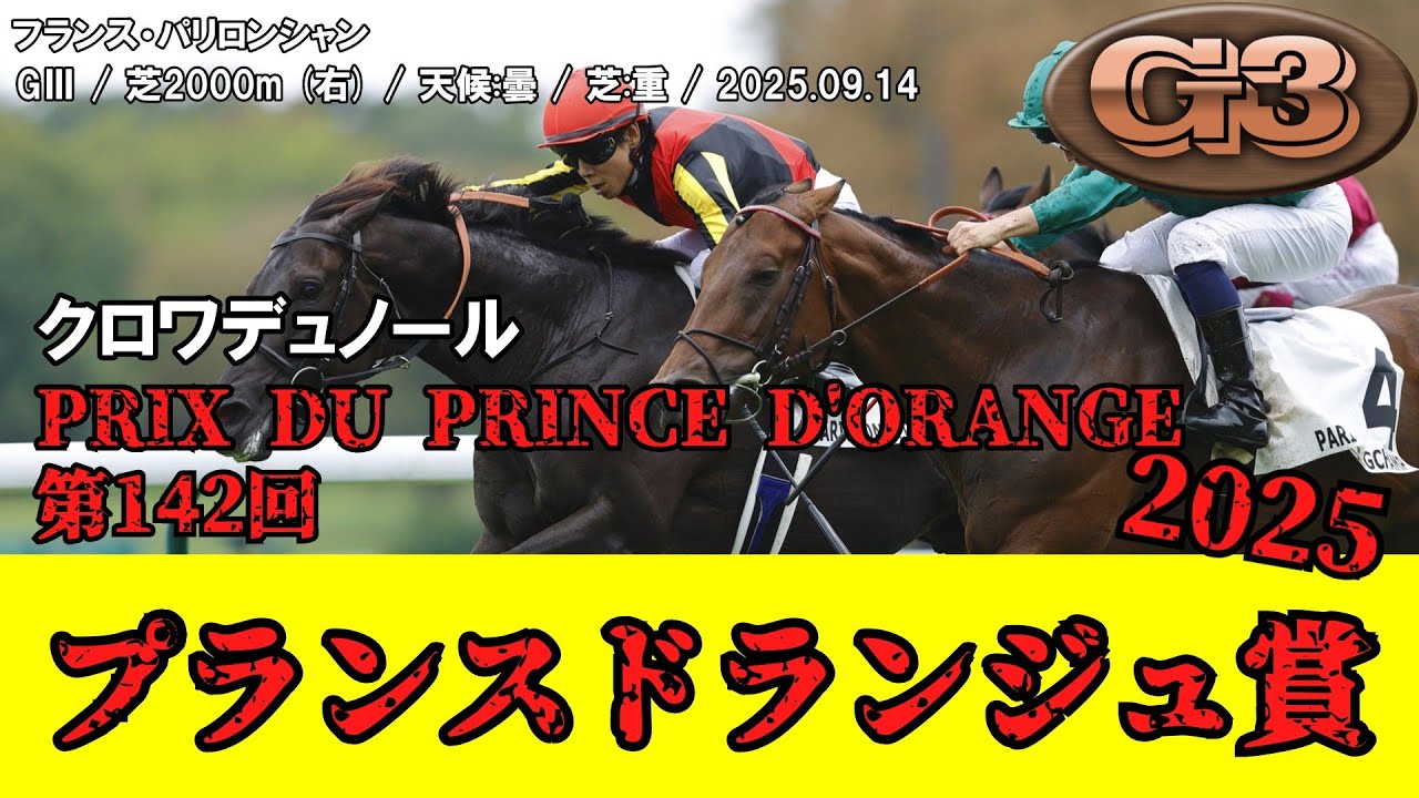 2025年6月1日 クロワ・デュ・ノール 馬券 Yahoo!オークション -「馬券クロワデュノール」の落札相場・落札価格