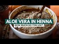 Aloe Vera Powder: How Much to Put in Your Henna Recipes?