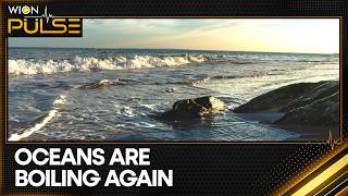 El Nino Conditions Expected To Develop From May Onwards | WION Pulse Net Worth