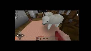 Riq chaymantataq huk wata runaq huk runaq wasinpi llapan huk runaq 
