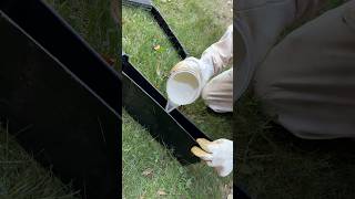 Can Bees Turn Sugar Syrup Into Honey