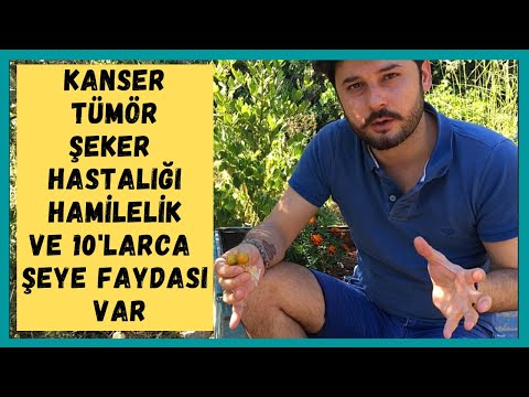 MUCİZE MEYVE! Altın Çilek ve Faydaları, Kanser, Tümör, Şeker Hastalığı, Altın Çilek Nasıl Yetişir