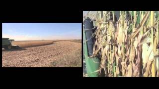 NARROW ROW by Capello USA - Full HD 2014