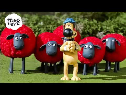귀여운 빨간 양들 🐑🐑🐑 | 숀 더쉽 (어린이 친화적 시리즈 - 숀 더쇼위츠)
