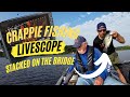 Livescope Crappie fishing 2023 Lake Darbonne |  Black Crappie and White Crappie plus some cooking