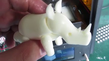 Duplicator 8 Printed Rhino