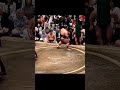 藤凌駕VS時疾風!2026年大相撲5月場所