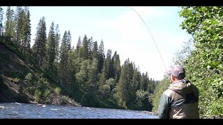 Fly Fishing in Nordland 2023/2022 // June (Eng sub) by Allfiske 5,174 views 1 month ago 12 minutes, 45 seconds