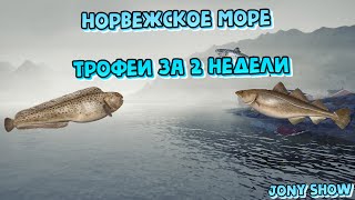 Русская Рыбалка 4 • Норвежское море • Трофеи за 2 недели.