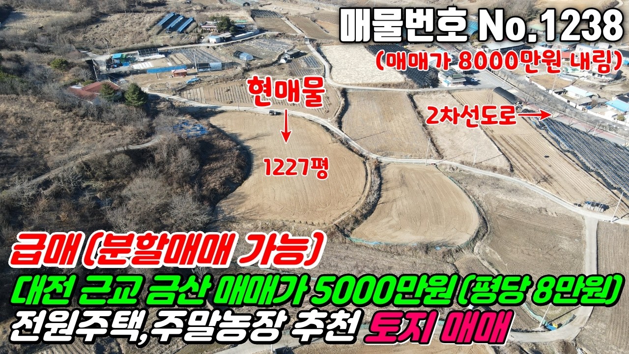 No.1238 대전근교 매매가 5000만원(분할시) 급급매 평당 8만원 전원주택 건축 주말농장 세컨하우스 금산 군북면 산안리 관리지역 #금산토지매매 #군북면토지매매 #금산주택지매매