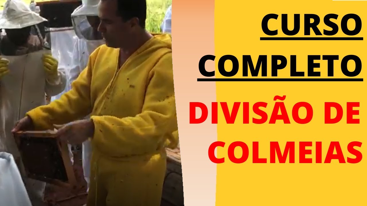 LIBERAMOS PARA VOCÊ O CURSO COMPLETO DE DIVISÃO DE COLMEIAS