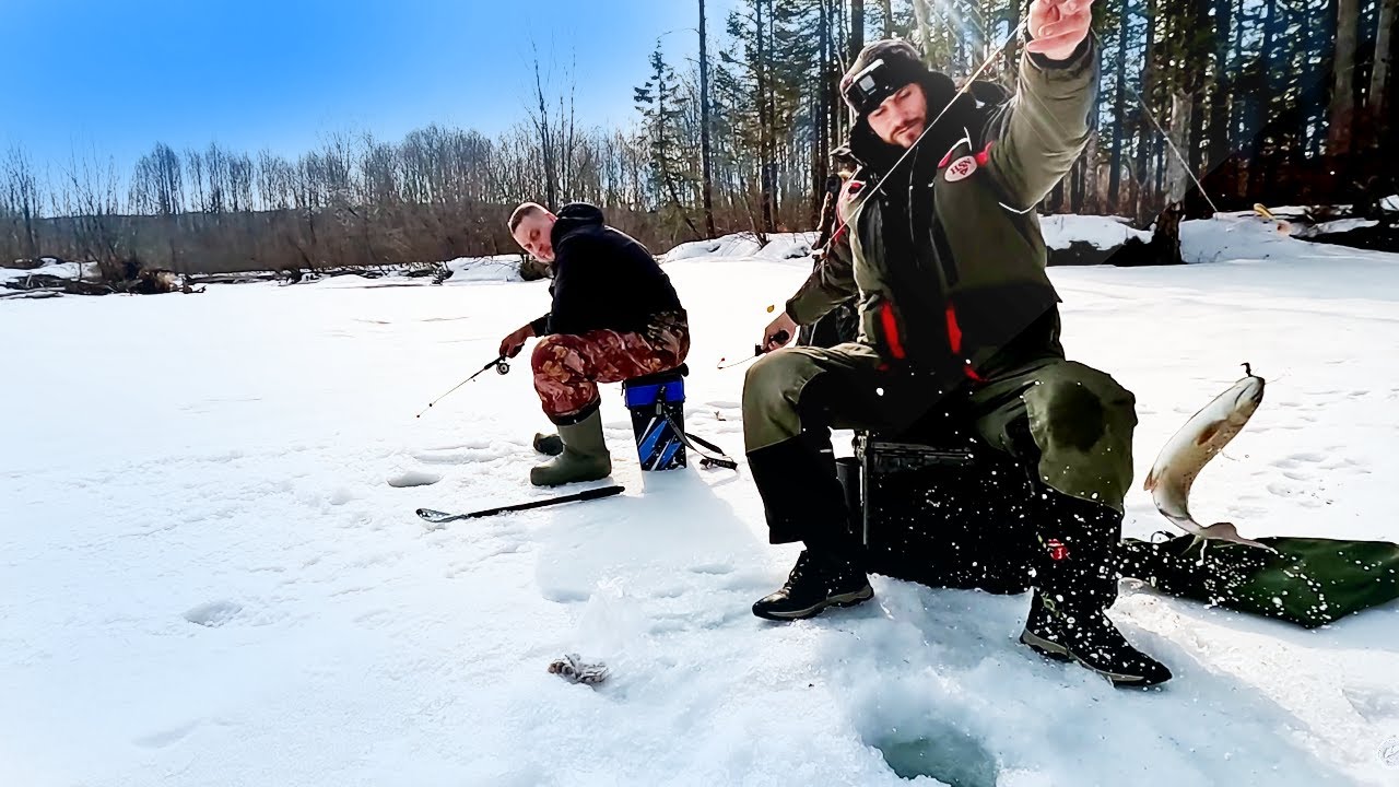 Ленок весной. Зимняя рыбалка. Рыбак зимой. Зимняя рыбалка в Сибир. Весенняя рыбалка.