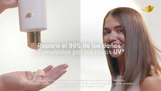 El sol deja huellas en tu pelo. Dove las repara.​