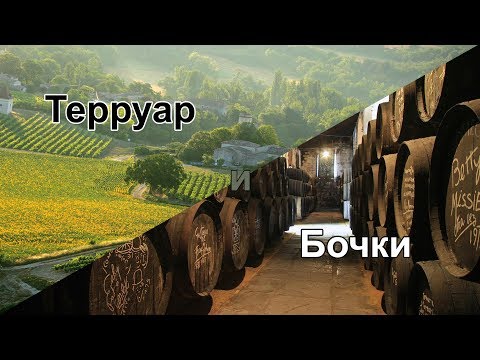Терруар и Дубовые