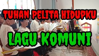 Download Lagu Tuhan Pelita Hidupku, Lagu Komuni Misa Perdana Imam Baru (RP. Even Tangi, O. Carm) MP3