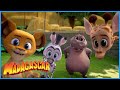 Learning new things | DreamWorks Madagascar