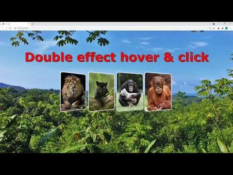 HTML CSS hover & active 3d cards animals