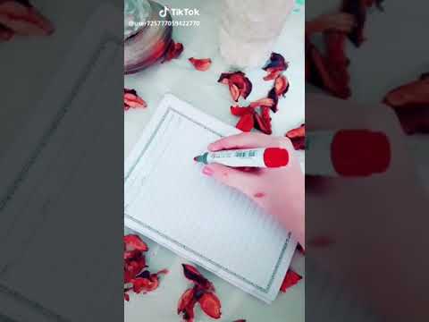 انتي نبض مالي