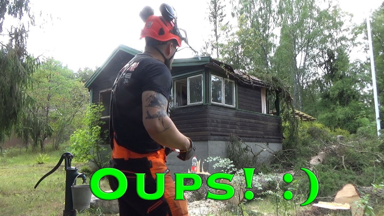 Tree felling on a house - YouTube