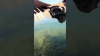 CATCHING FISH In ULTRA CLEAR WATER DAM! #Shorts
