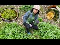 เก็บผักป่าแบบหนามๆมาลองใส่นึ่งไก่ดู Wild Edibles UK