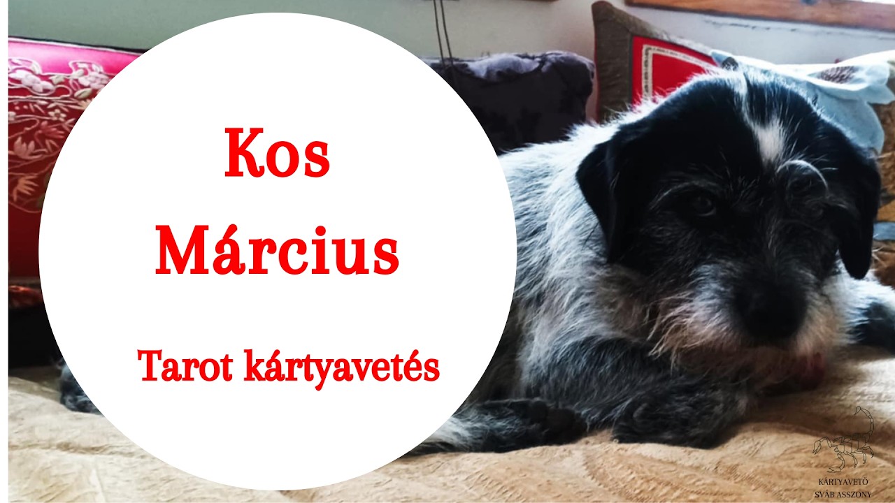 ”  Úszni az árral 