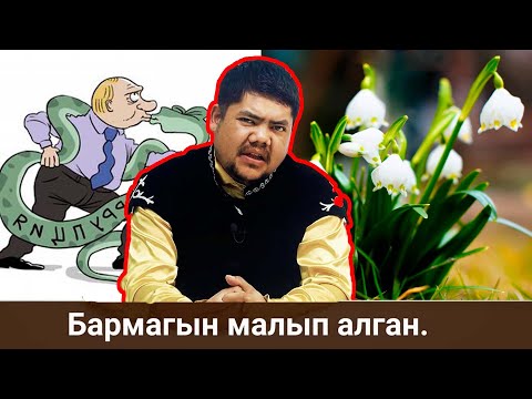 Video: Жазында log4j деген эмне?