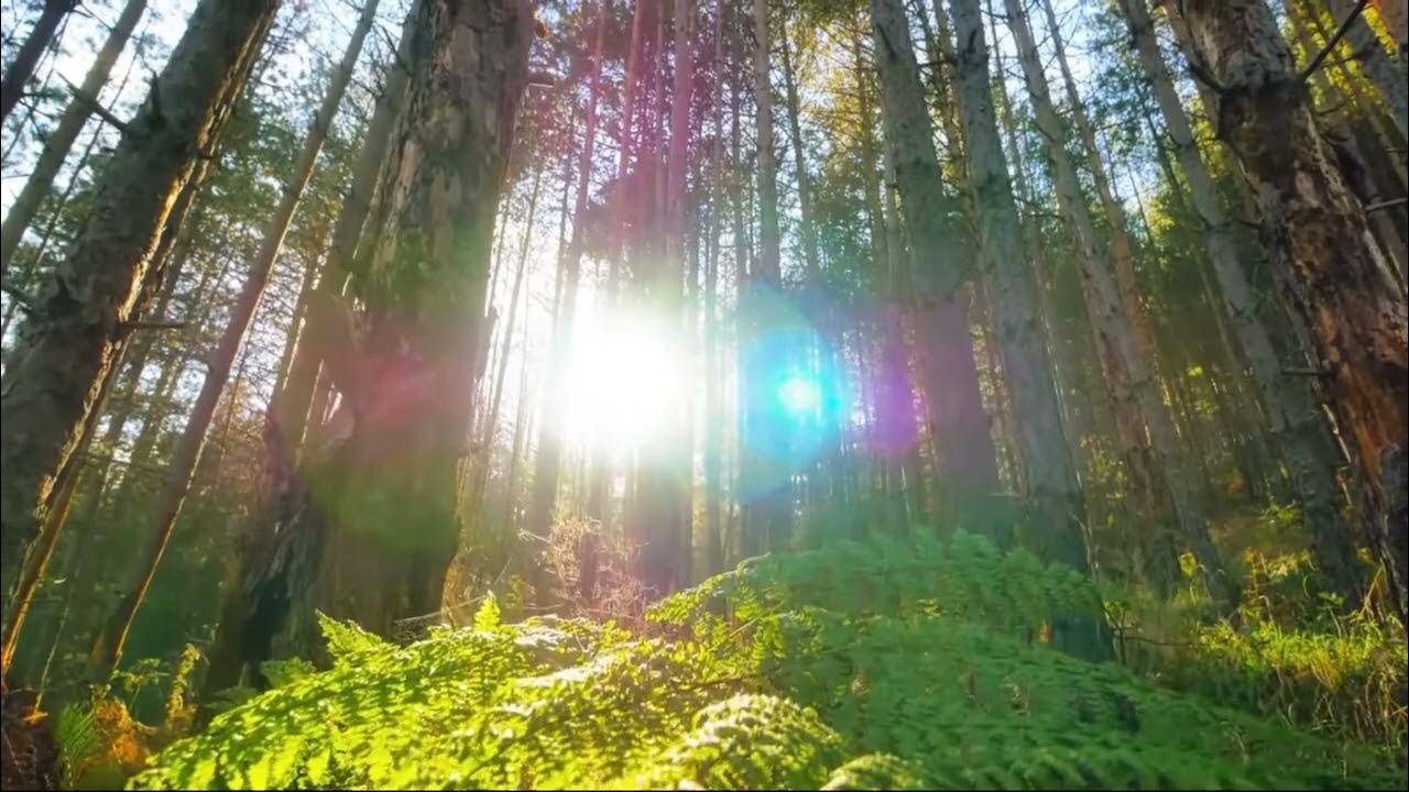 Light my way. Light my way