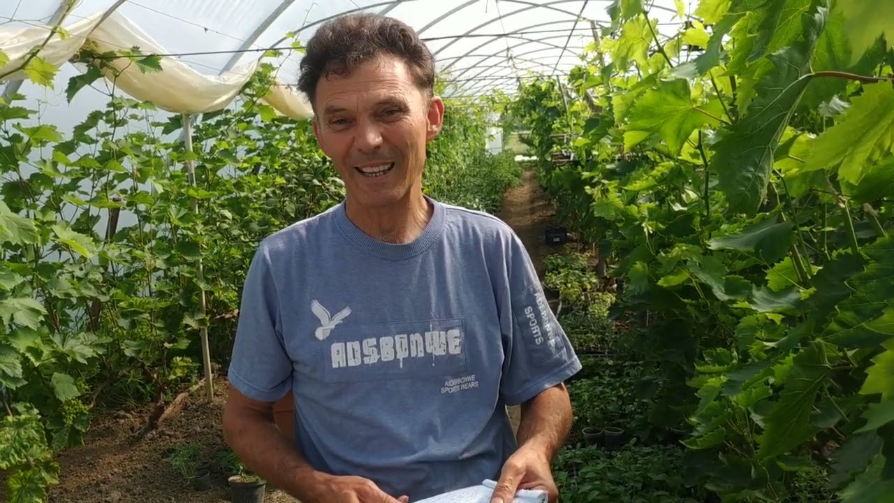 Fontos  munkák virágzás után !