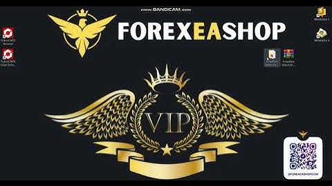 Forexflare Robot EA MT4 - How to video setup - ForexEAshop