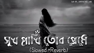 সুখ পাখি তোর প্রেমে l🥀Shukh Pakhi Tor Preme l (Slowed Reverb) Bangla Lofi Song l বাংলা কষ্টের গান