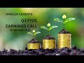 Ambuja Cements Earnings Call - Q3 FY25
