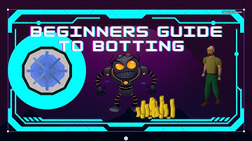 Beginners Guide to Botting OSRS