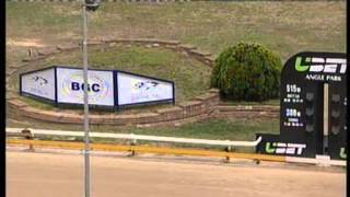 Angle-Park-03022016-Race-11