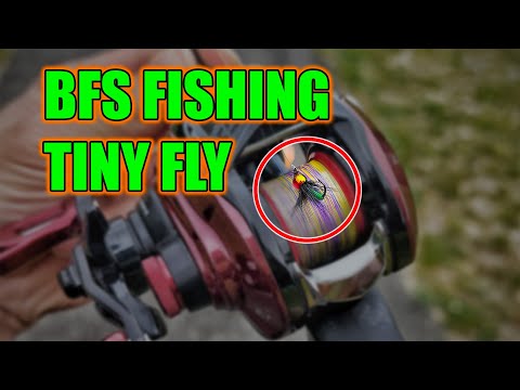 Daiwa Salamandura Air TW BFS Fishing Videos 