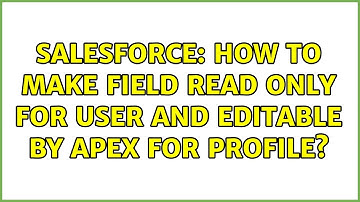 Salesforce: How to make field read only for User and Editable by Apex for Profile? (3 Solutions!!)