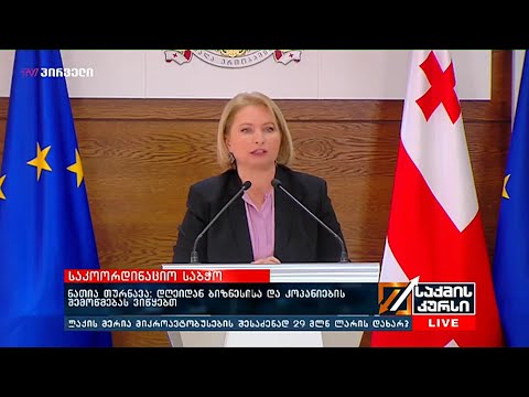 ნათია თურნავა: დღეიდან ბიზნესისა და კოპანიების შემოწმებას ვიწყებთ