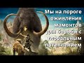 Мы на пороге возрождения мамонтов  Учёные оживят мамонтов