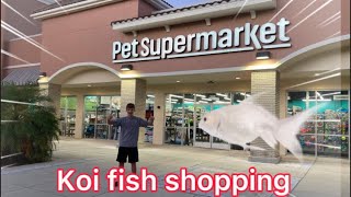 PET SUPERMARKET Fish Store Tour !
