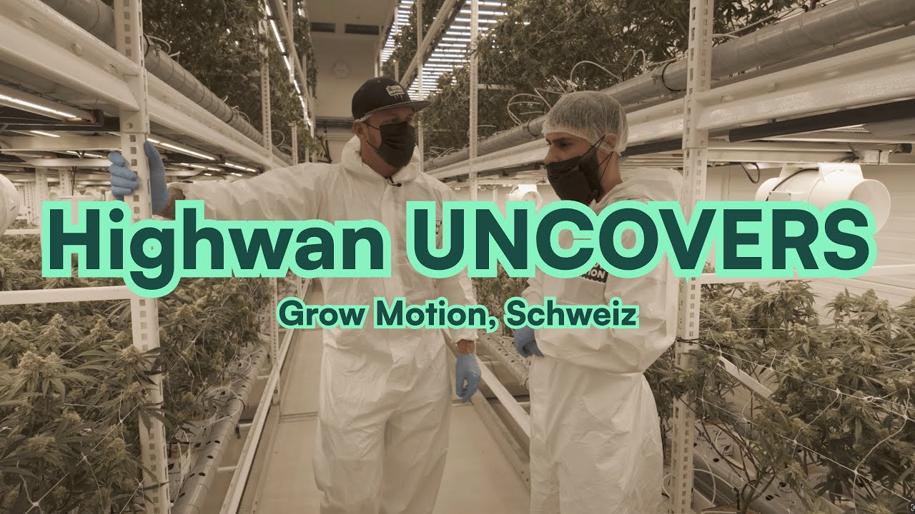 Highwan UNCOVERS – exklusive Einblicke bei GrowMotion